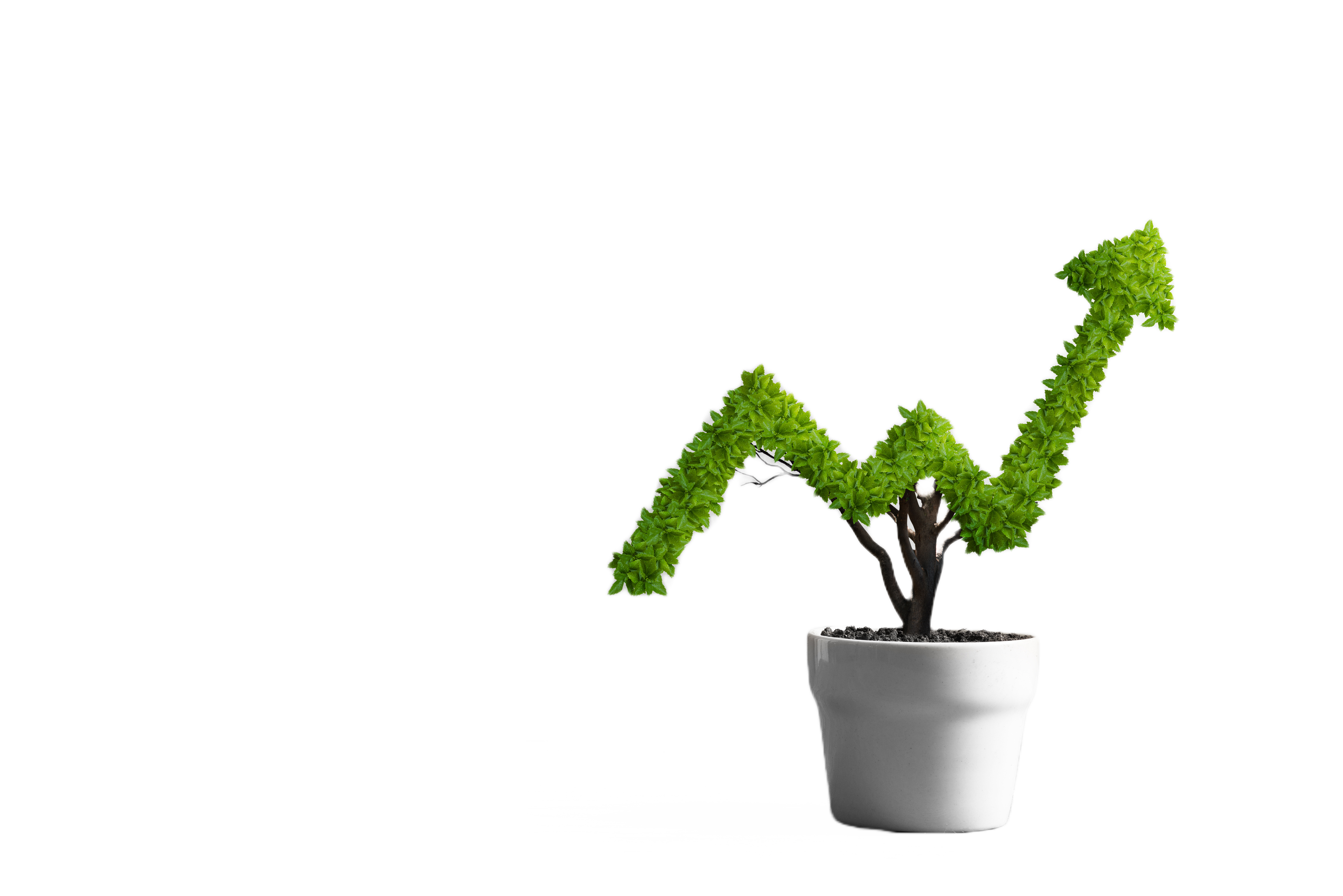 stock-photo-small-plant-in-pot-shaped-like-growing-graph-1034526682-edit 1